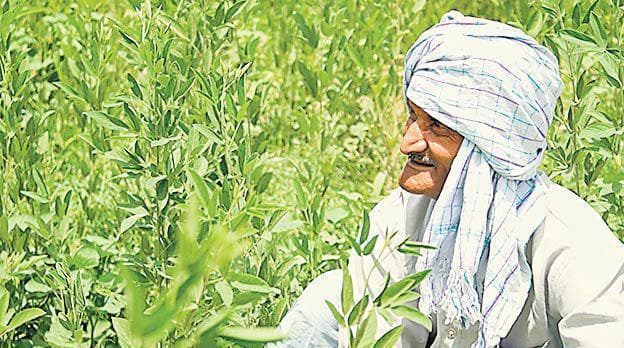 फसल की बर्बादी देखकर सदमे से चार किसानों की मौत