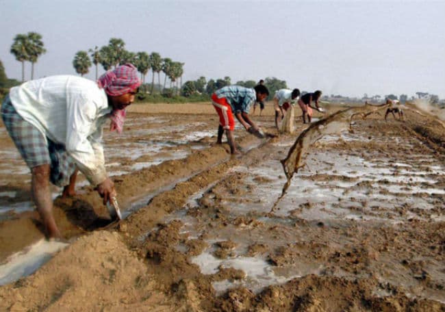 IIT के अनुसंधानकर्ताओं ने किसानों को दी नयी कृषि प्रौद्योगिकी