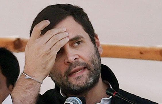 राहुल करेंगे अंबेडकर की 125वीं जयंती पर आयोजित समारोहों की शुरुआत