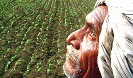 अब 22 तक यहां पहुंचेगा मॉनसून