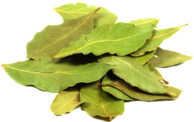 मसाला नहीं औषधि है तेजपत्ता