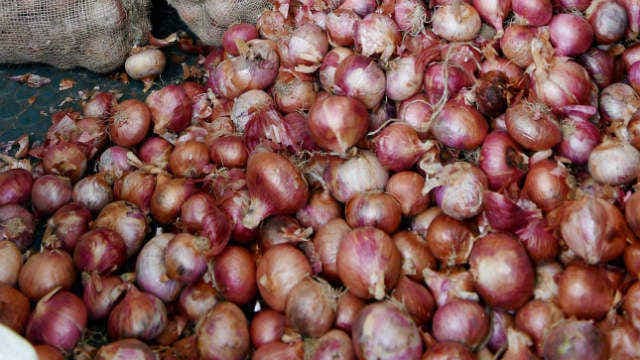 अफगानिस्तान से प्याज का आयात बढ़ा