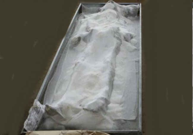 तीन हफ्ते से पति के शव के साथ रही थी ये भारतीय महिला