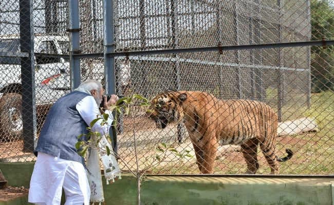कैमरे के साथ कुछ यूं नजर आये प्रधानमंत्री