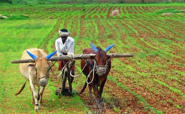 अब 500 रुपये के पुराने नोट से भी किसान खरीद सकते हैं बीज