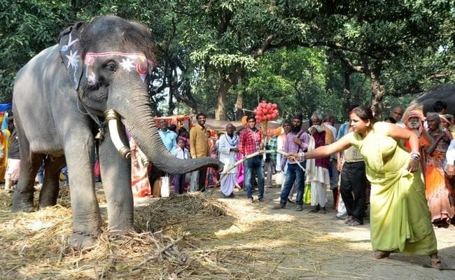 मैं कभी सोनपुर मेले की शान थी, अब देखने की चीज