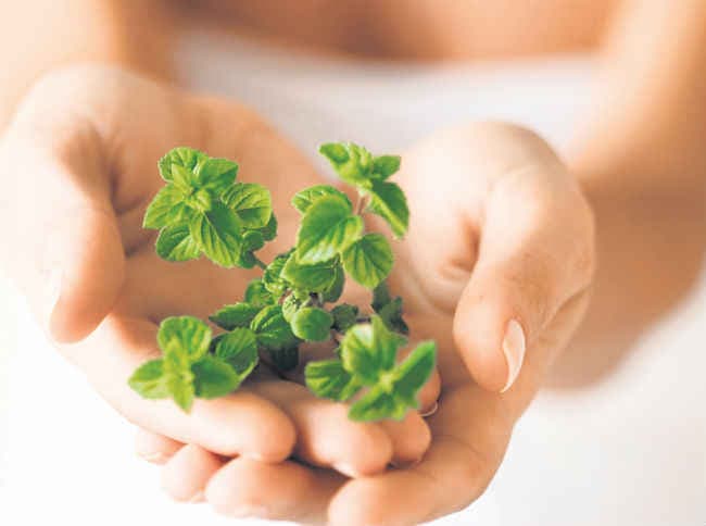 इलाज का नया विकल्प इंटीग्रेटिव मेडिसिन