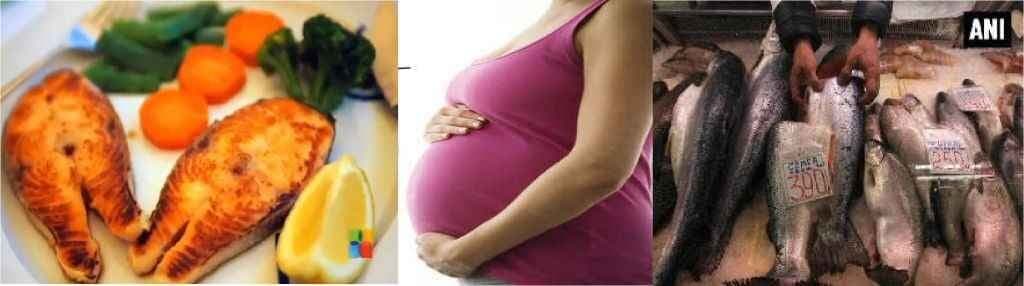 बच्चे के तेज़ दिमाग के लिए ‘गर्भवती महिलाएं खाएं मछली’