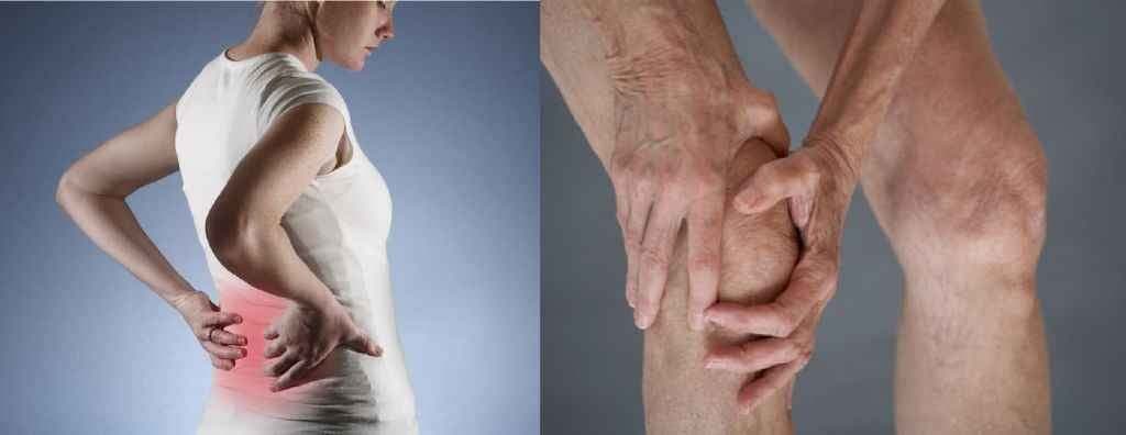 बोनमैरो में लगी चोट भी हो सकती है ‘जोड़ों में तकलीफ का कारण’