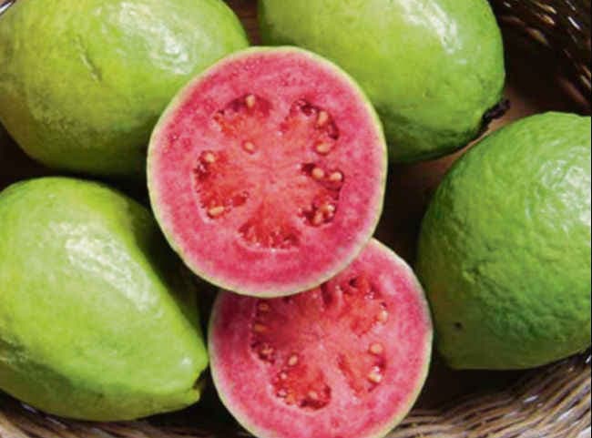 ठंड के फलों का राजा अमरूद के फायदे