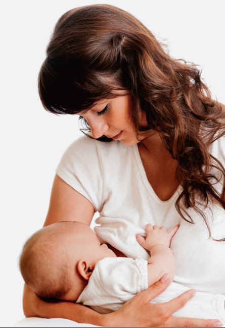 मां का दूध बढ़ाता है शतावर