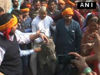 धर्मांतरण कराने के आरोपी का सिर मुंडकर गधे पर बिठाया और शहर में घुमाया