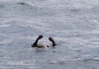 यूनान जा रहे प्रवासियों की नाव डूबी, 37 की मौत