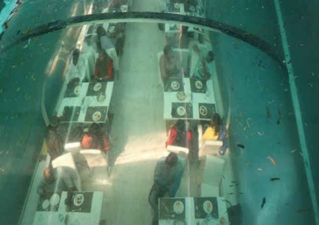 पानी के अंदर रेस्टोरेंट, मछलियों के बीच बैठकर ले खाने का मजा