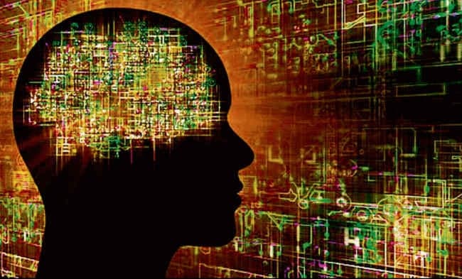 बोधि वृक्ष: बाहर की भीड़