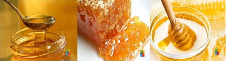 फंगस इंफेक्शन को दूर करता है ‘शहद’