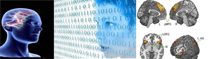 दिमाग की बनावट बनाती है आपको लीडर