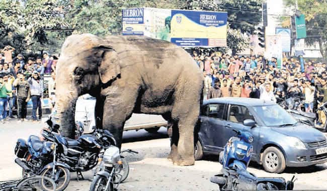 दर्जनों घर-दुकानें उजाड़ी, कई घरों को तोड़ा