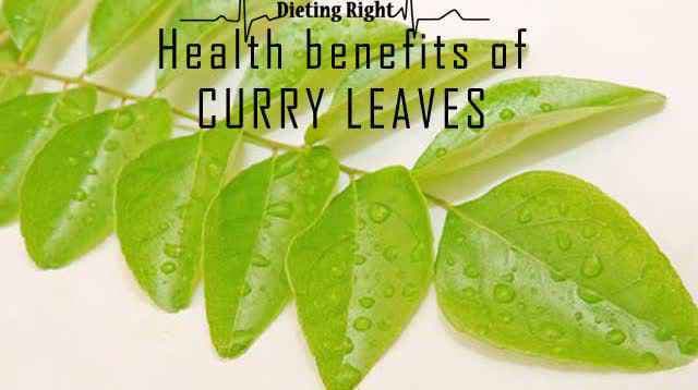 सिर्फ पत्तियां नहीं, कई रोगों का इलाज करते हैं ‘कढ़ी पत्ते’....