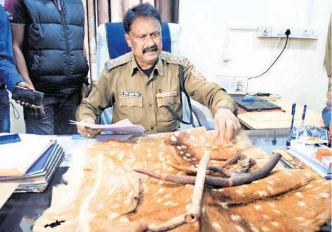 हिरण के खाल और पांच सींग सहित तीन गिरफ्तार