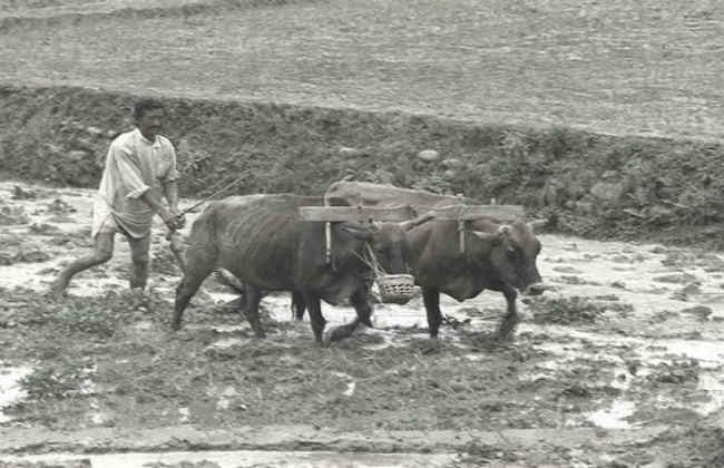 इंडिया नहीं, भारत का बजट