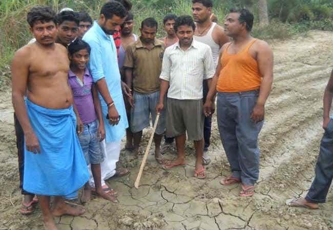 बिहार : भटके हुए बाघ का जोड़ा देख ग्रामीणों में फैली दहशत