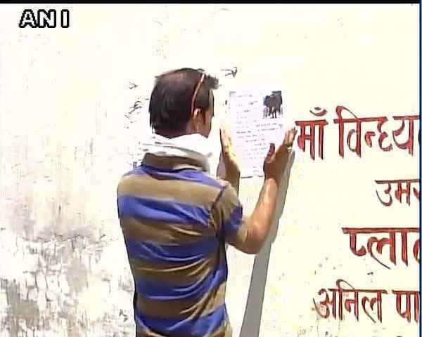 लापता हुआ सांड, खोजकर लाने वाले को 50 हजार इनाम