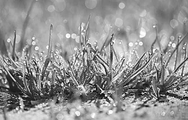 इंद्र भरोसे खेती, पर कब तक