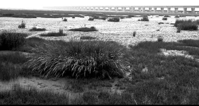 संकटों के राजनीतिक निहितार्थ