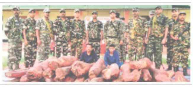 10 करोड़ की चंदन लकड़ी जब्त, दो हुए गिरफ्तार