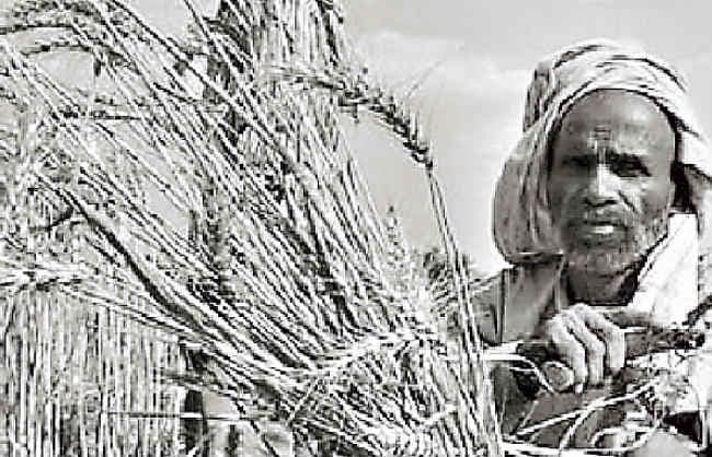 बिछड़े सब बारी-बारी, खेती-बारी