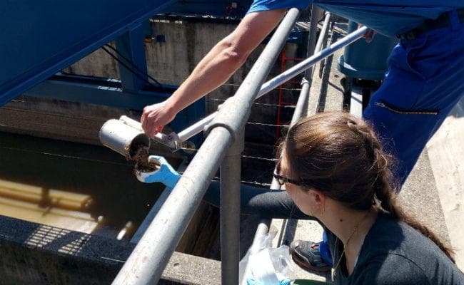 WHATT : इस देश में हर साल नालियों में बहा दिया जाता है इतना सोना चांदी...?