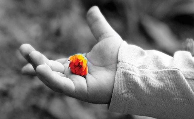 हर किसी के जीवन के प्रति ऐसे बनें संवेदनशील