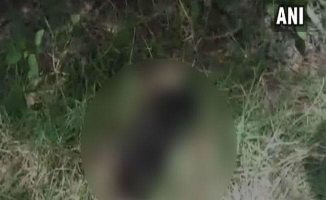 नवजात बच्चे को मुंह में दबाकर भागता नजर आया कुत्ता, जानें कहां का है मामला