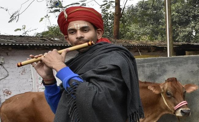 लालू के बड़े बेटे तेज प्रताप ने गौशाला में मनाया न्यू ईयर, बने कन्हैया, बजाई बांसुरी