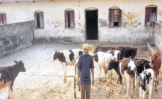 अजब: जानवर समझते हैं इनसानों की भाषा