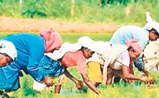 बिहार बजट 2017 : कृषि विभाग : 73.39 करोड़ रुपये की कटौती