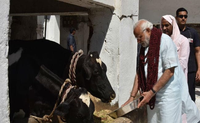 यूपी चुनाव: गड़वाघाट में शीश नवा मोदी ने दिया बड़ा संदेश