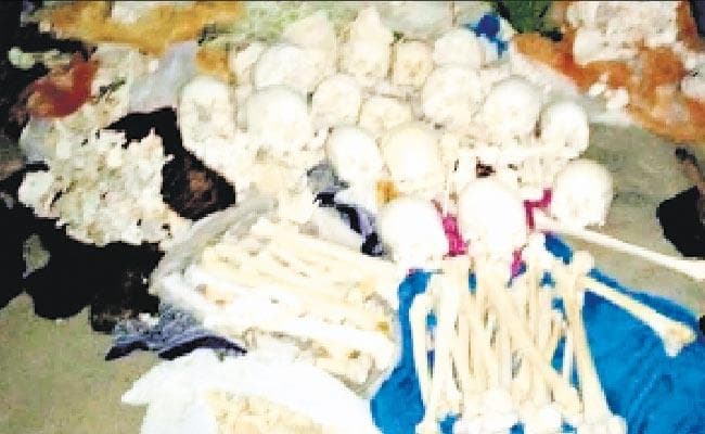सनसनी: बर्दवान के कालना में छापा, चार गिरफ्तार, घर से 18 नरकंकाल बरामद