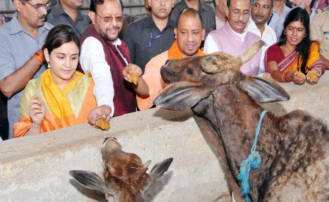 मुलायम की छोटी बहू अपर्णा से योगी आदित्यनाथ की मुलाकात, अखिलेश यादव के लिए चुनौती !