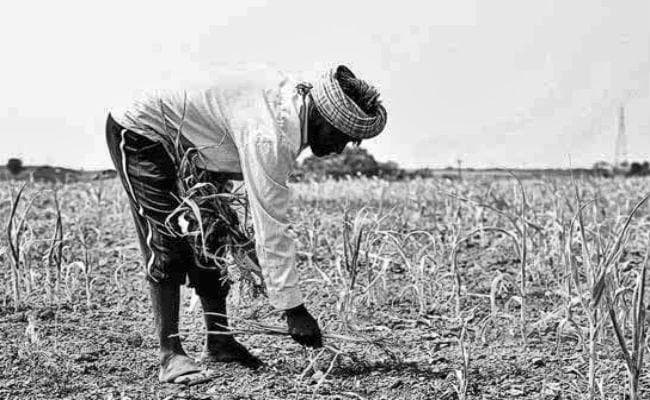 कृषि ऋण माफी के आईने में