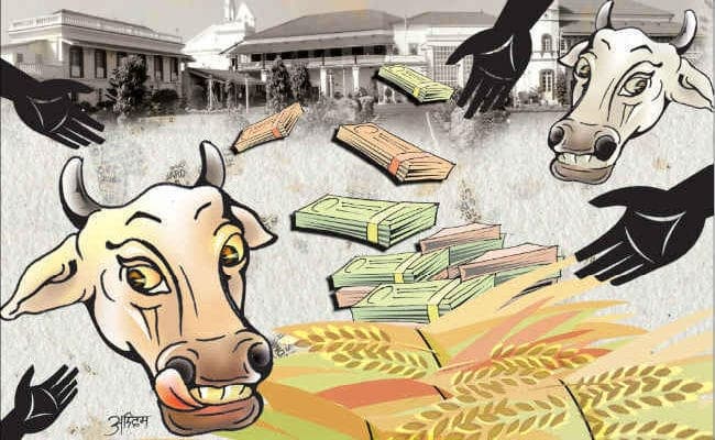 चारा घोटाले के सात आरोपियों की हो चुकी है मौत