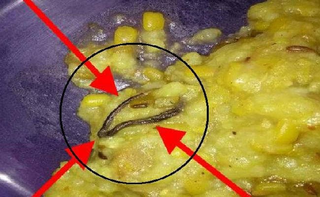 मिड डे मील में मिला सांप, बच्चे करने लगी उलटी