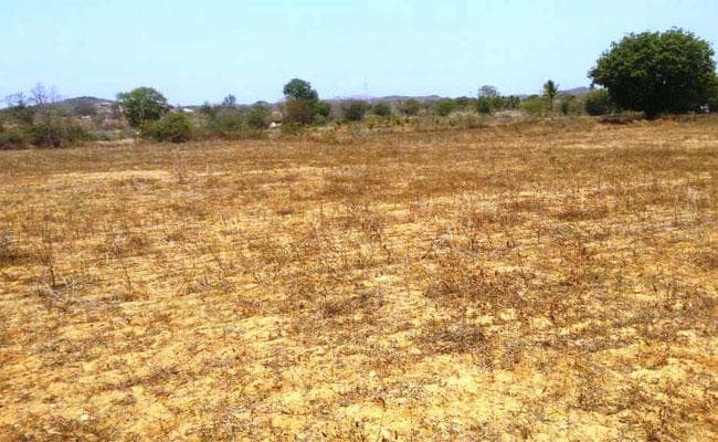 गड़बड़ी : धड़ल्ले से बेची गयी गैर मजरूआ भूमि, दर्जनों बनाये गये हैं मकान