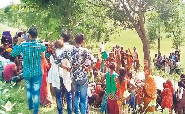 बिहार : मधुबनी में इस पेड़ से गिर रहा पानी, दैविक चमत्कार मान कर ग्रामीणों ने शुरू कर दी पूजा-अर्चना