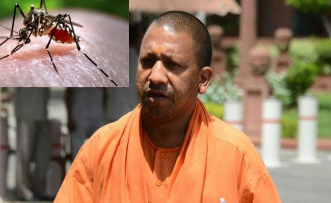 प्रत्येक रविवार को ”एंटी मॉस्किटो ड्राई डे ” मनाएगी योगी सरकार प्रत्येक रविवार को ”एंटी मॉस्किटो ड्राई डे ” मनाएगी योगी सरकार