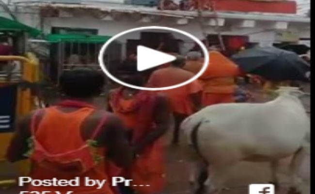 झारखंड देवघर सावन मेले का दूसरा दिन, यहां देखें अद्भुत नजारा