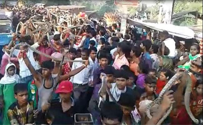 VIDEO : ऐसे शिवभक्त जो भगवान शिव पर जल नहीं सांप चढ़ाते हैं, वायरल हुआ वीडियो