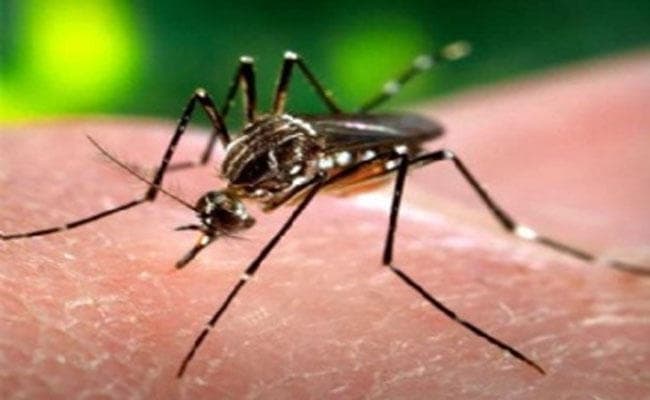 खोला मोरचा: पानी के बाद अब डेंगू को लेकर नगर निगम में मचा बवाल, विरोधियों ने लगायी जन अदालत