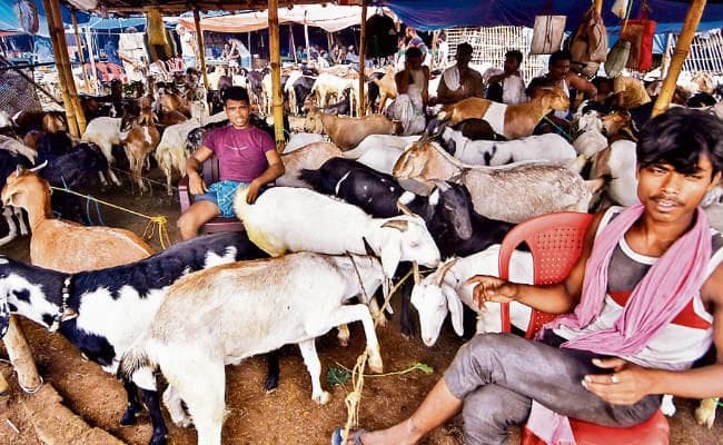 बकरीद में शाहरुख, सलमान पर भारी पर रहे आमिर खान!